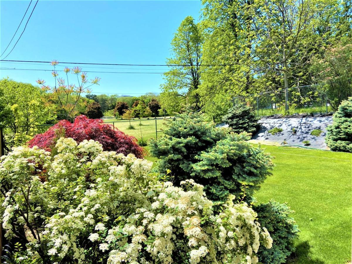 Iresidence In Toronto - Unique Mansion - Fantastic Views Zewnętrze zdjęcie